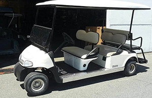6 Passenger golf carts